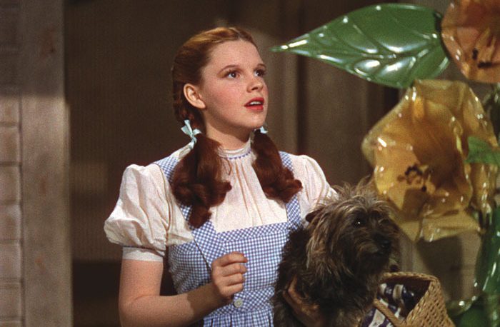 Dorothy and Toto